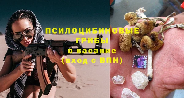 spice Верея