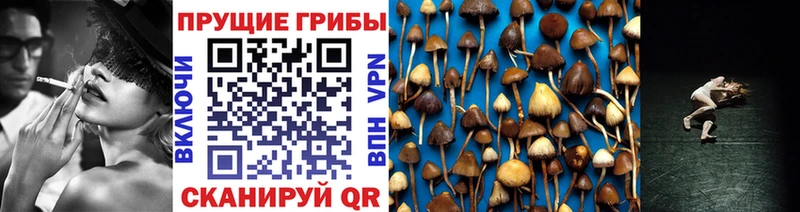 Псилоцибиновые грибы Cubensis  наркошоп  Ипатово 